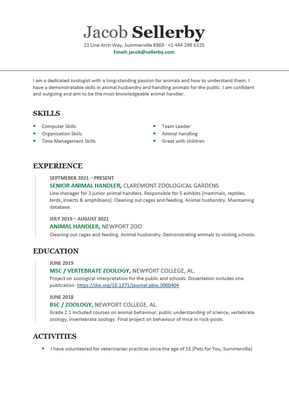 A CV template. Even though this CV template might look ok at first glance, there are several things that I don’t like about it. Compare what you see here with the list above and see which items need changing.