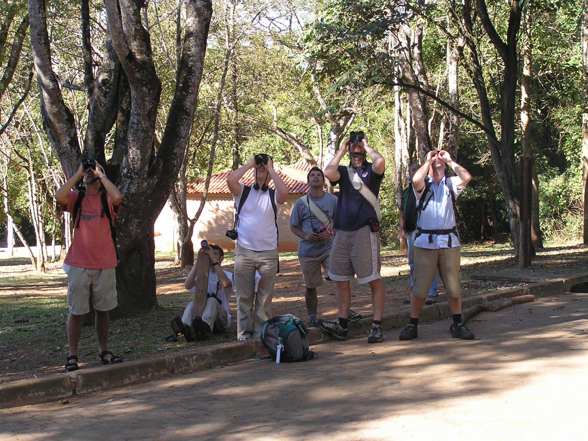 Taking time out from science during the Society for Conservation Biology conference in Brasilia, 2005. The author (left), with sometime co-authors Richard Gregory (second left), John Ewen (third right) and Phill Cassey (right). One of these people is not really a birdwatcher. Photo credit: Rebecca Boulton.