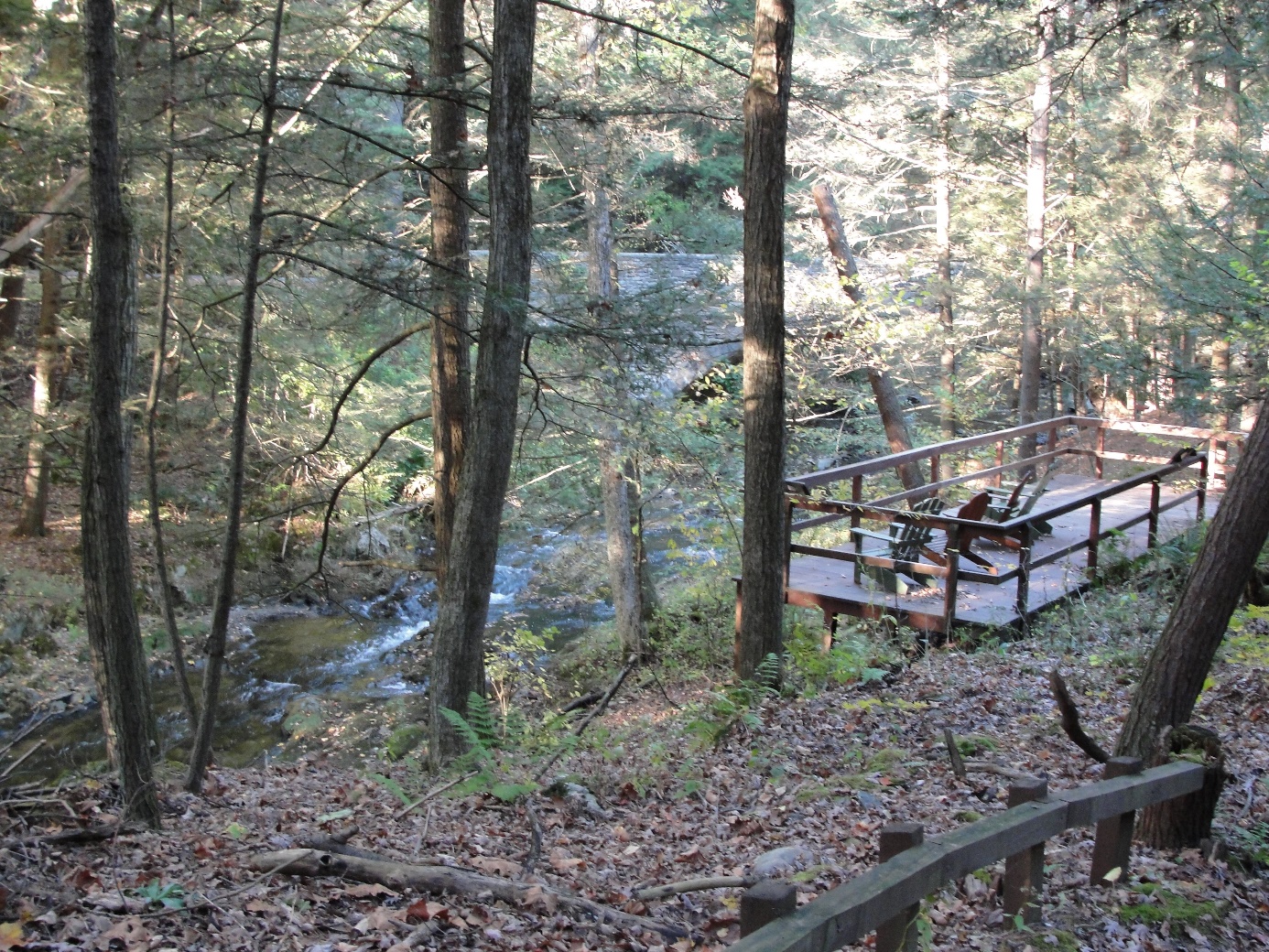 The Fern Glen, an inspiring place on the campus of the Cary Institute of Ecosystem Studies in Millbrook, NY, USA. Many times I enjoyed sitting on one of the chairs (on the right side of the picture), watching, smelling and listening to the Wappinger Creek (on the left side of the picture) and other elements of the fascinating nature around me – and several times I returned to my desk enriched not only by the joy of nature, but also by a thought that turned out to be useful (e.g. Jeschke et al., 2012b). I took this picture in the fall of 2010.